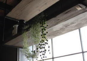 オシャレ収納 棚 シェルフ