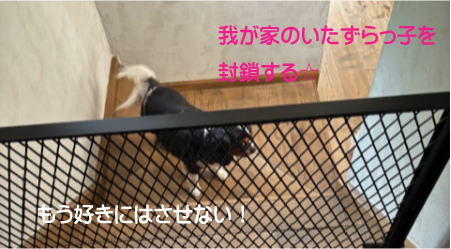 小さなお子様や愛犬の侵入を防ぐおしゃれなフェンス
