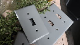 アメリカスイッチシックなグレイプレート