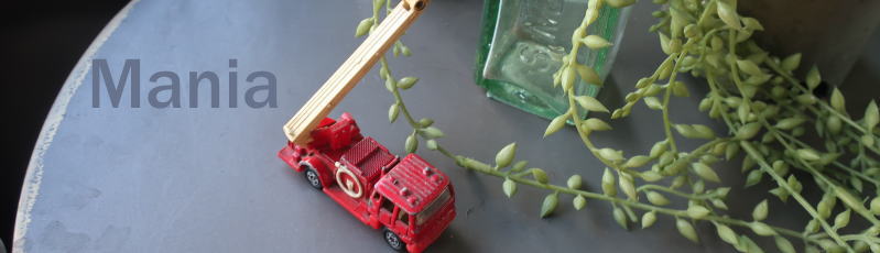 大人の子供心をくすぐるインテリア