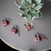 小さな南京錠がかわいい