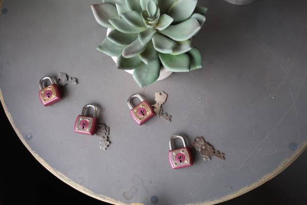 トランクで使いたい南京錠