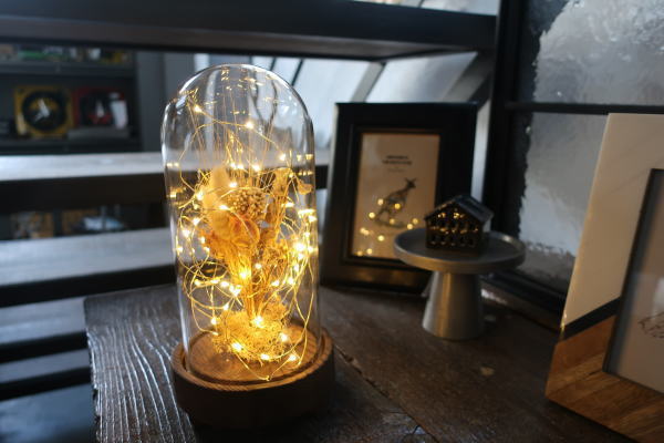 LEDの繊細な灯りのライト