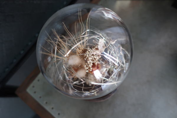 ガラスドーム入りドライフラワーアレンジライト